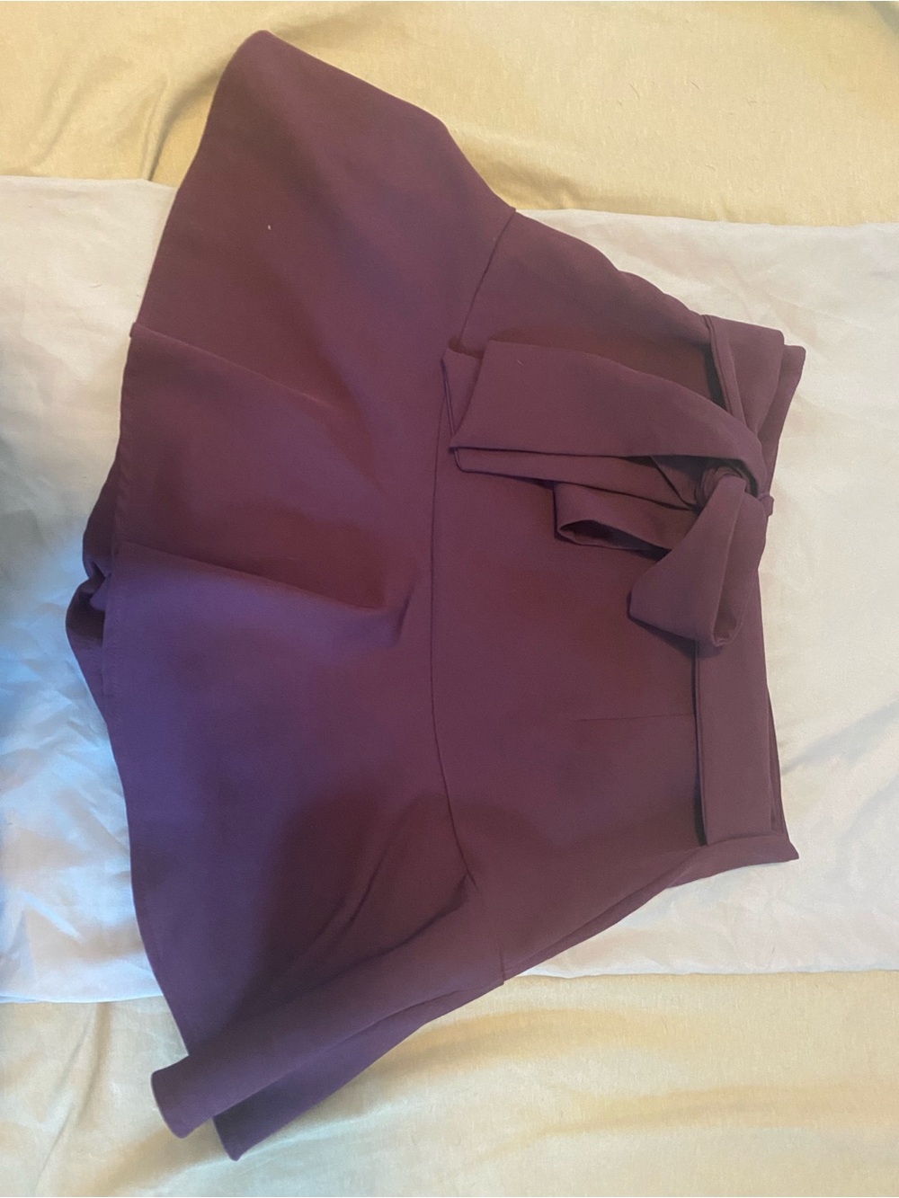 Zara Plum Purple Mini Skirt with Waist Tie